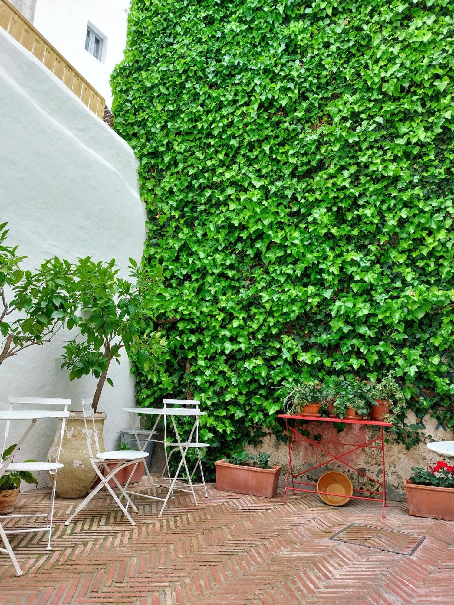 Casa Shelly Hospederia Hotell Vejer de la Frontera Exteriör bild