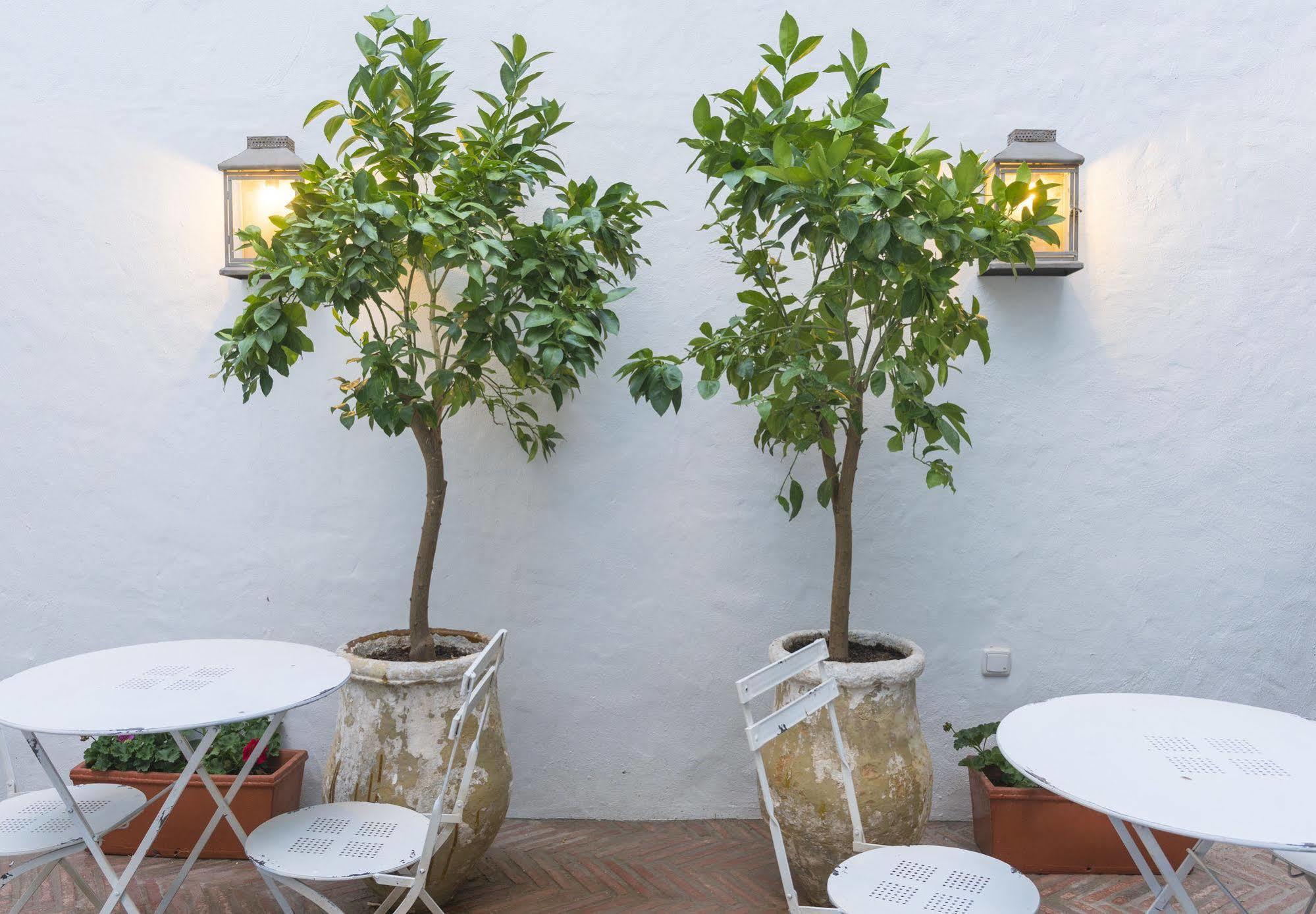 Casa Shelly Hospederia Hotell Vejer de la Frontera Exteriör bild